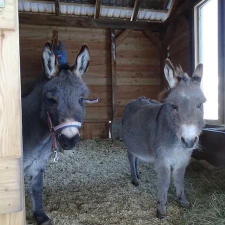 Landhof Schober Studio's Weissbriach