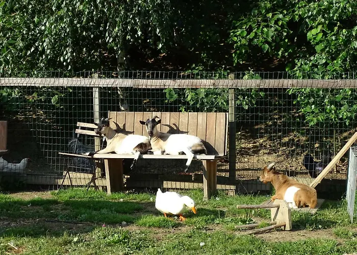 Frühstückspension Landhof Schober Weißbriach