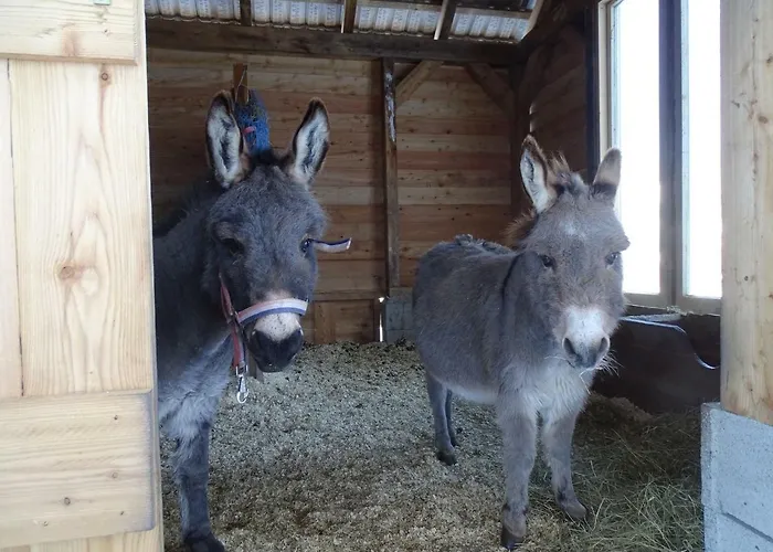 Landhof Schober Weißbriach